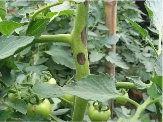 jpg 53-1_meitu_1.jpg