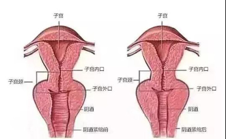 私密维养.jpg