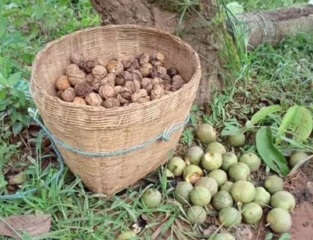 jpg 32-1_meitu_44.jpg