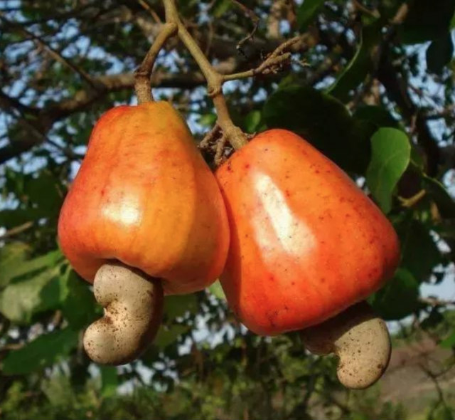 jpg 32-2_meitu_45.jpg