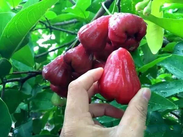 jpg 25-1_meitu_41.jpg