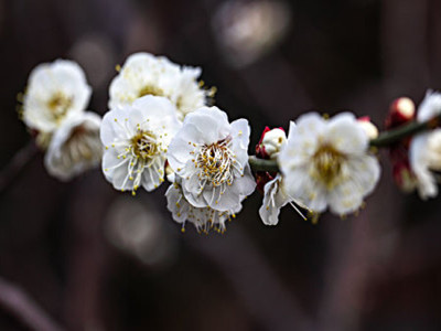 east-ep-a71-5148127_副本.jpg