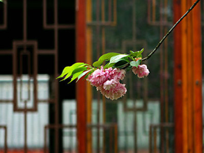 ph6429-p00166_副本.jpg