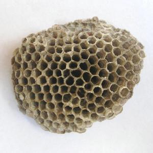 蜂房用量