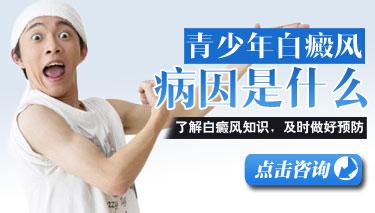 jpg u=2522727892,2806571728&fm=21&gp=0.jpg