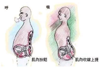 个人主页 医生文章 详情   因为体育锻炼有益于血液循环,可以调和人体