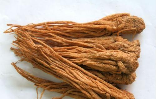 熟背它，你就是家庭医生(2)