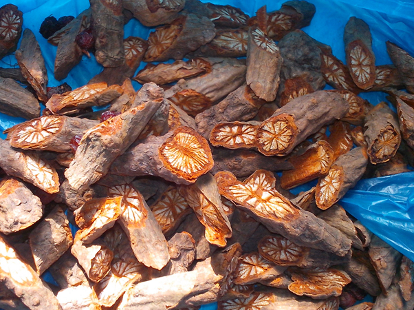 千年健的功效与作用