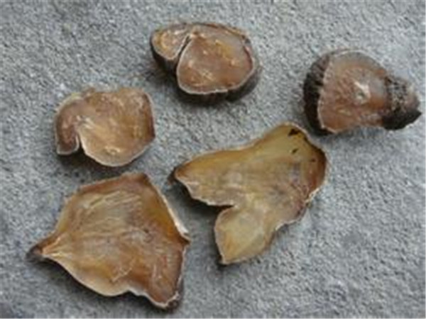 制附子的功效与作用_中华康网