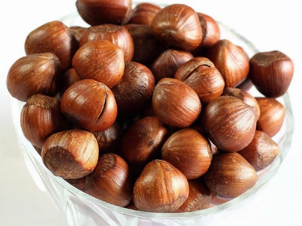 榛子08.jpg
