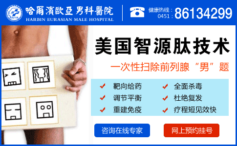 13.前列腺.gif