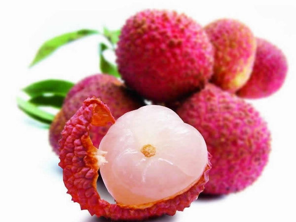 六月下旬荔枝龙眼管理精要