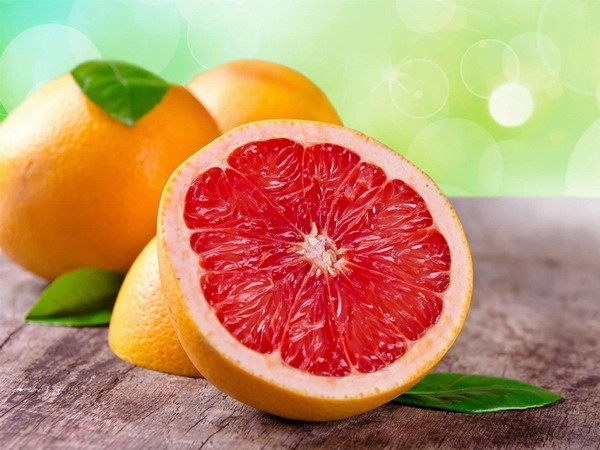 胡柚有哪些常见病虫害?