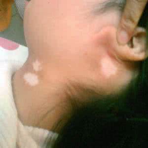 u=1083413355,2360352785&fm=23&gp=0.jpg