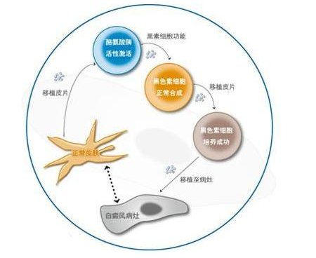 TIM截图20170527133627.png
