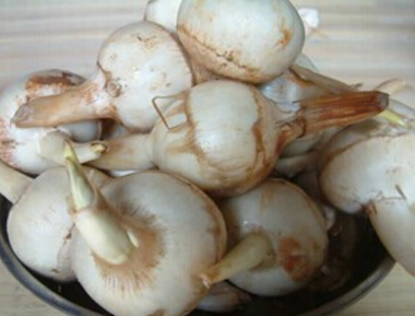 山慈菇的功效与作用及食用方法