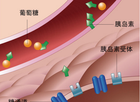 QQ截图20170630165200.png