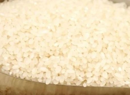 粳米和糯米分别是什么米