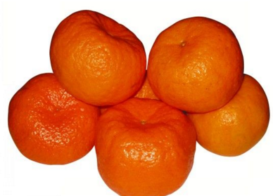 芦柑跟橘子结子区别