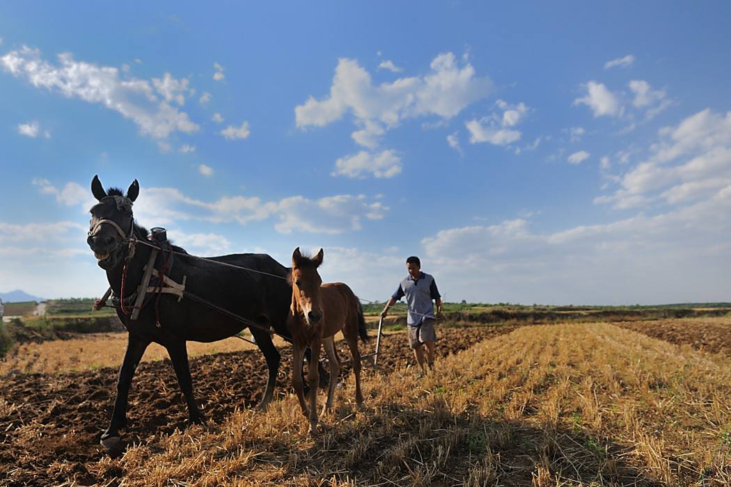 农业部:加快推进耕地轮作休耕常态化制度化