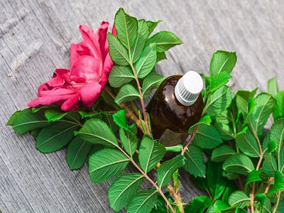 essential-oils-2537876__340_副本.jpg