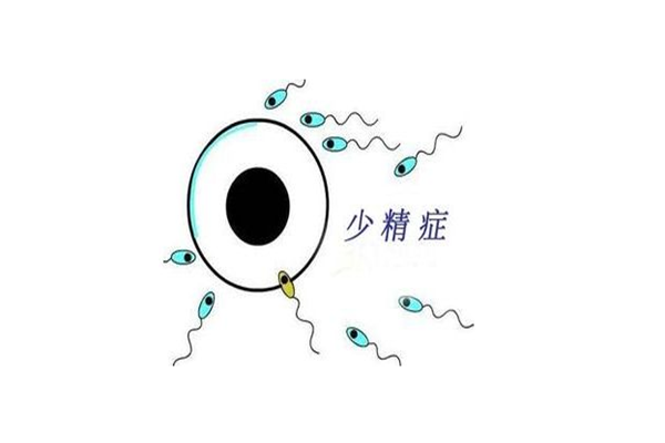 少精症6_副本.png