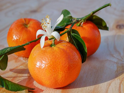 tangerines-3114765__340_副本.jpg