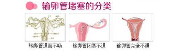QQ图片20180419085940_副本.png